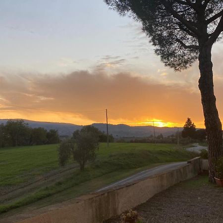 Tognazzi Casa Vacanze - La Collina Di San Gimignano Dış mekan fotoğraf